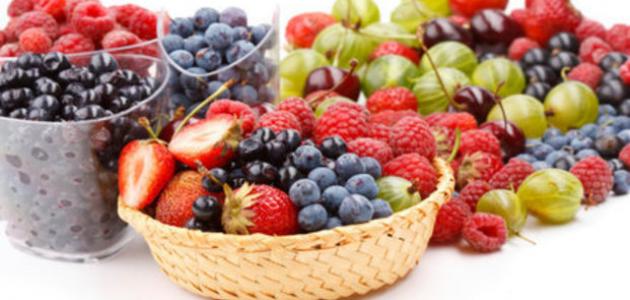 انواع میوه های تابستانی - موضوع