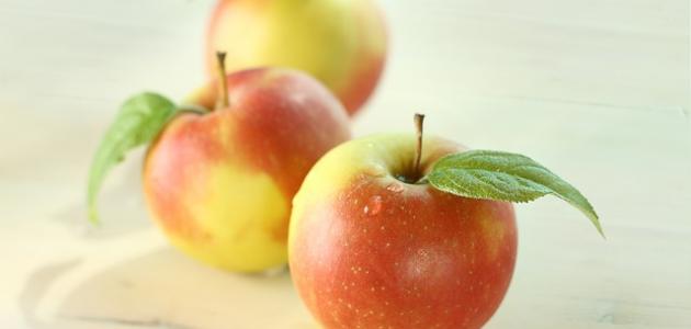 فواید سیب برای رژیم - موضوع