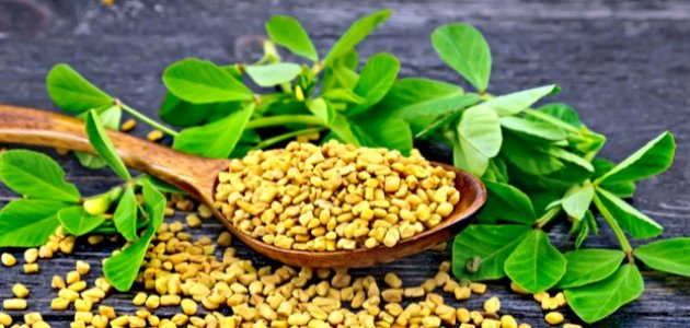 مزایای شنبلیله با عسل - موضوع
